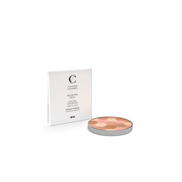 Ricarica poudre mosaique 232