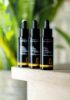 Booster 5 Omega Novexpert | Trattamento Nutriente per Pelle Secca, Sensibile e Stressata