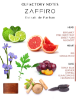 TEABALATER  | ZAFFIRO – Extrait de  de Parfum 35 ml