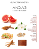 TEABALATER  | ANDAB – Extrait de parfum 35 ml